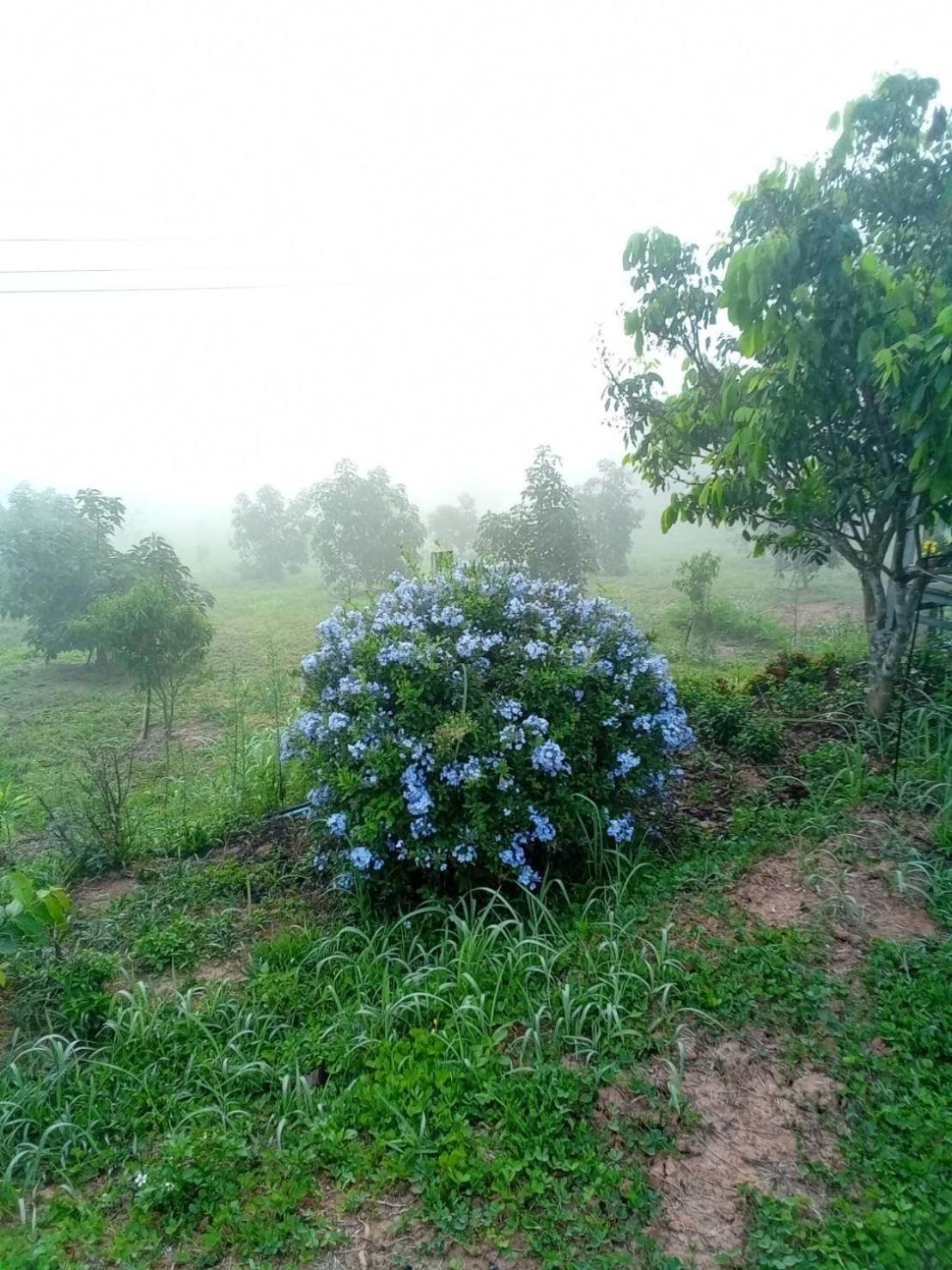 Phu Aram Khao Kho Resort Экстерьер фото